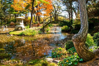 Spirit of the Japanese Garden