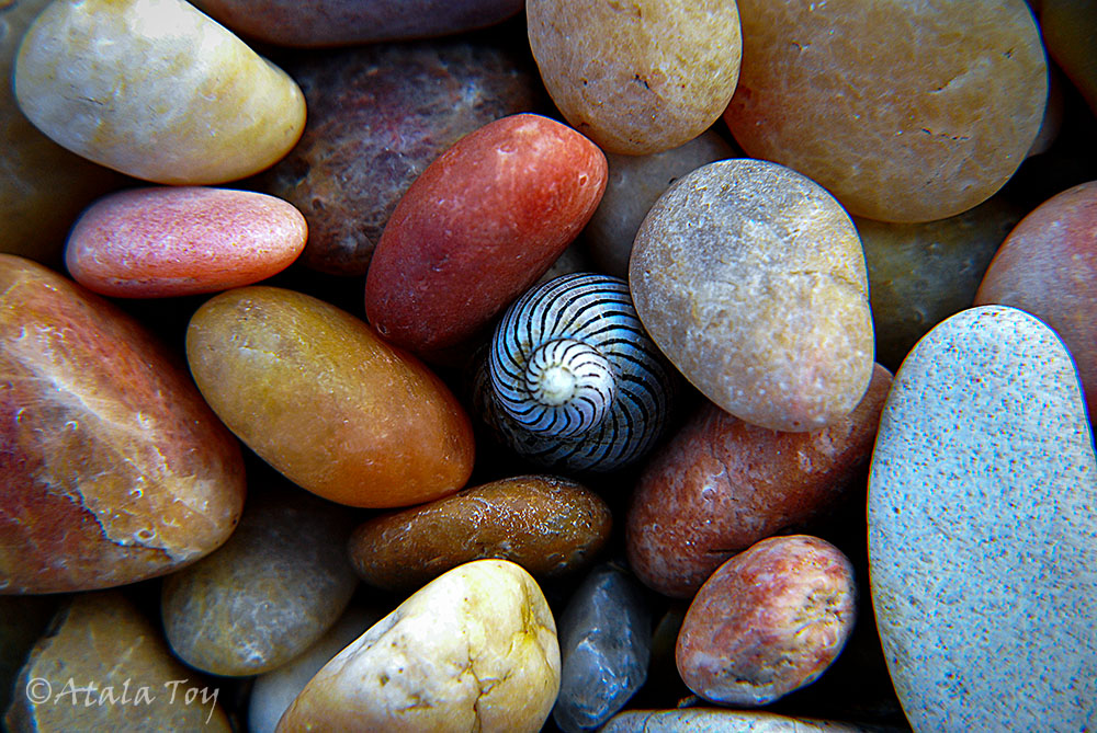 Prayer at the Heart of the Labyrinth | Atala Toy