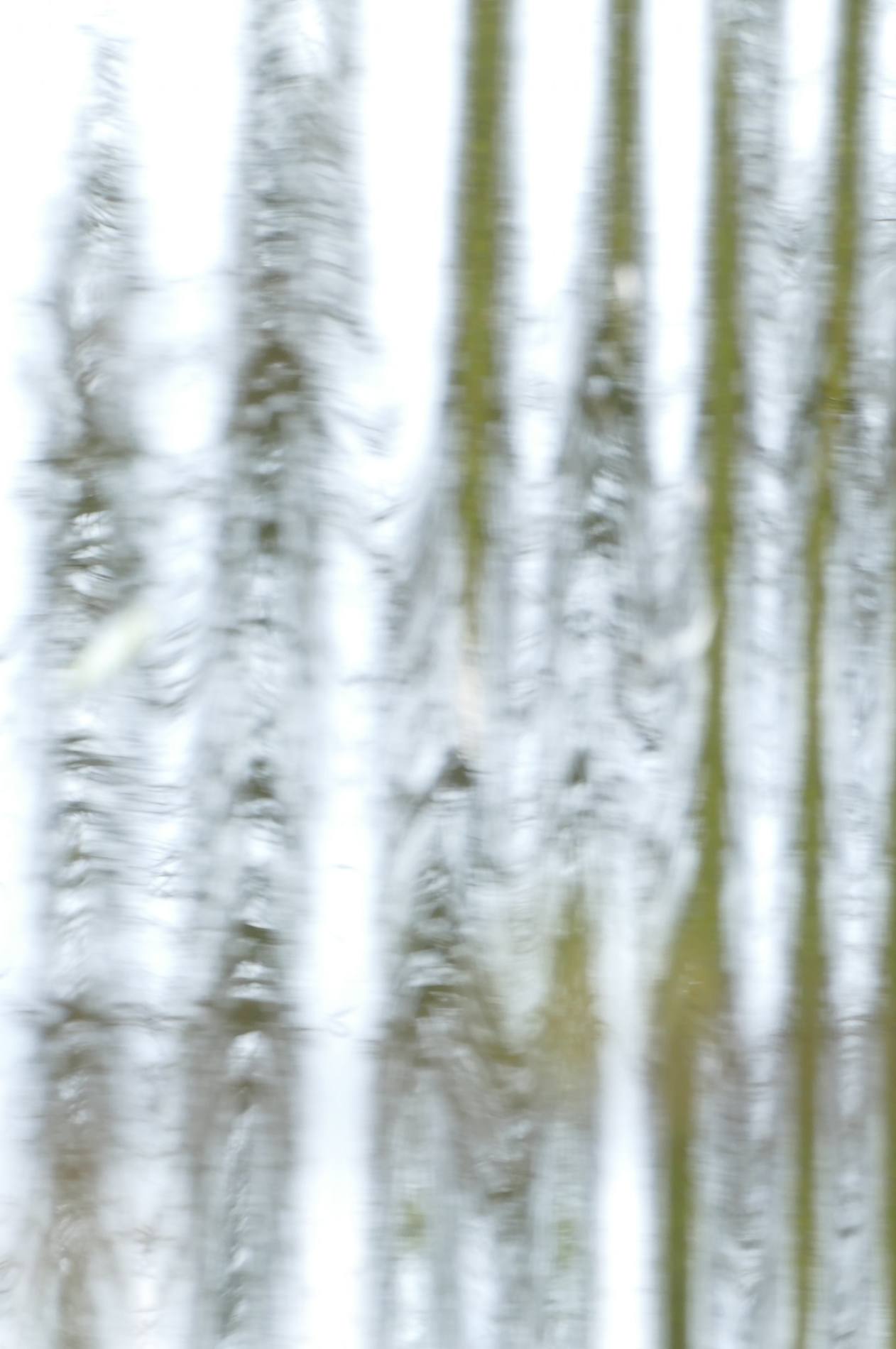 Hanneke Francois - Water Elementals