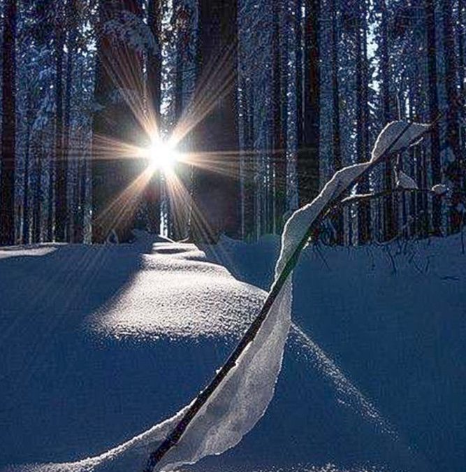 1812 | Snowy Star Wins Contest | Nature Spirit Photo Contest