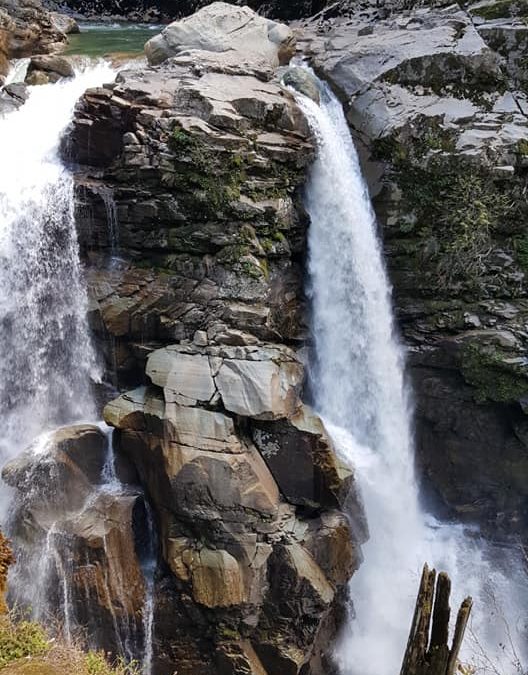1904 | Suzanne Schwartz Wins the April Water Spirit Contest!