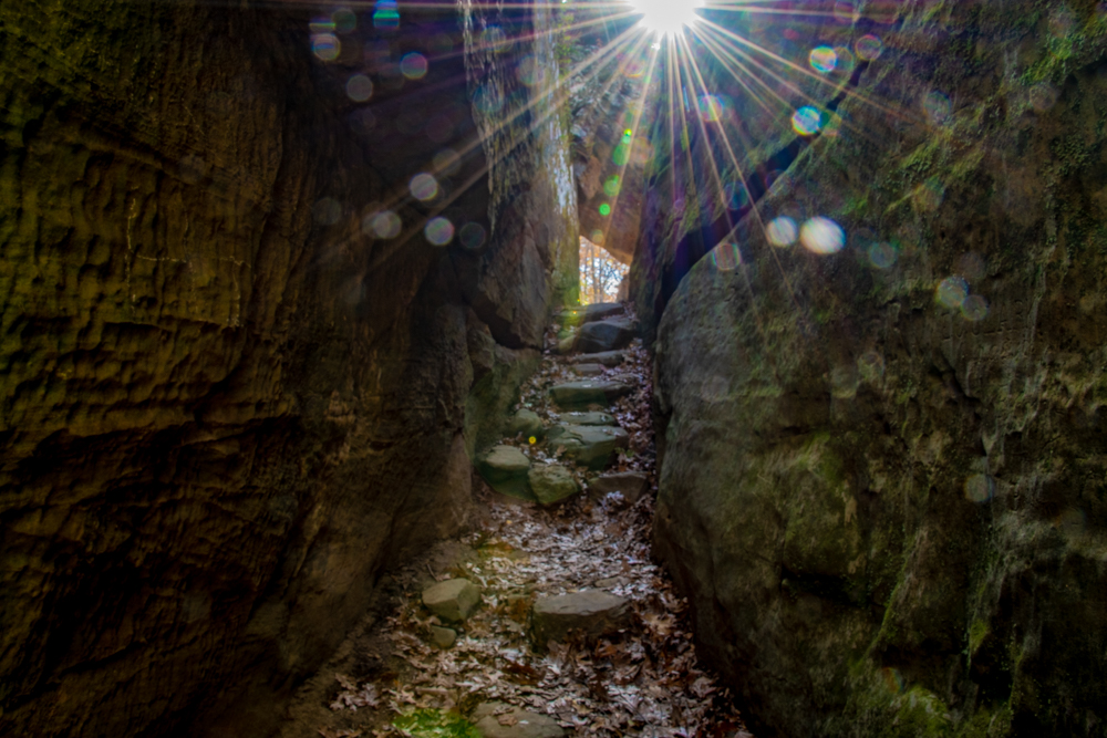 Digital Cameras, Sun Flares and Orbs