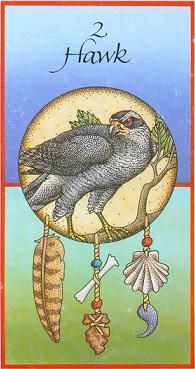 Medicine Cards | Animal Messages | Crystal Life Life ...