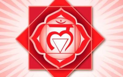 1 – First: Root/Base Chakra
