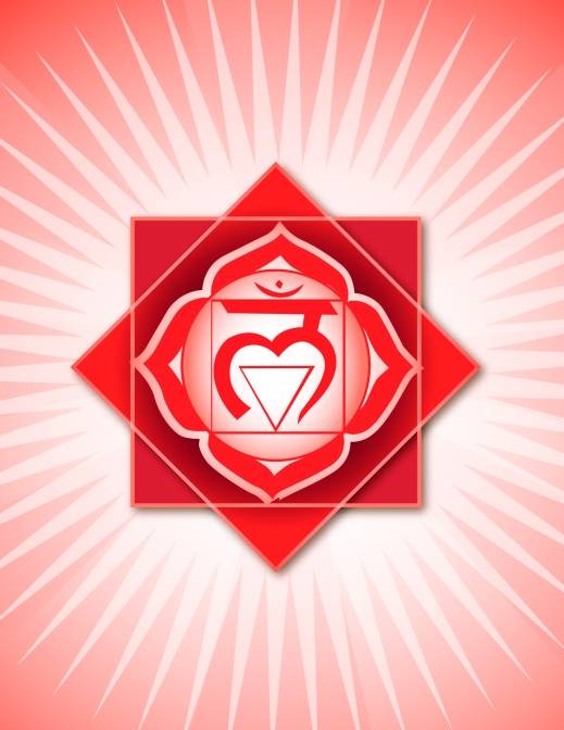 1 – First: Root/Base Chakra