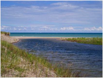 State Parks & Recreation Websites