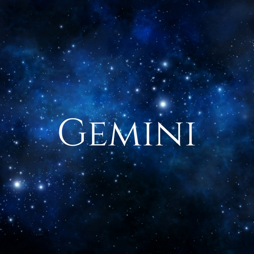 03 Gemini