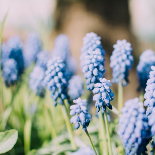 Crystals for the Spring Equinox