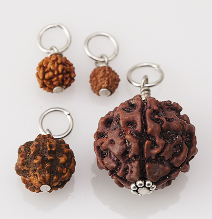 Rudraksha Seed Pendants