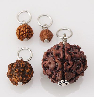 rudraksha seed pendants