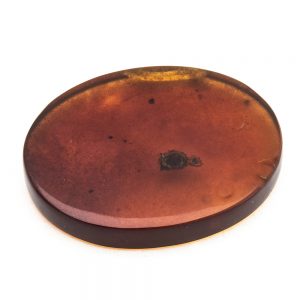 Amber Ovals