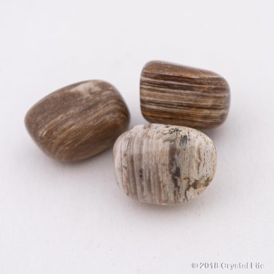 cubish petrified wood
