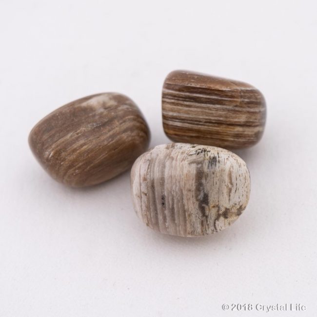 cubish petrified wood