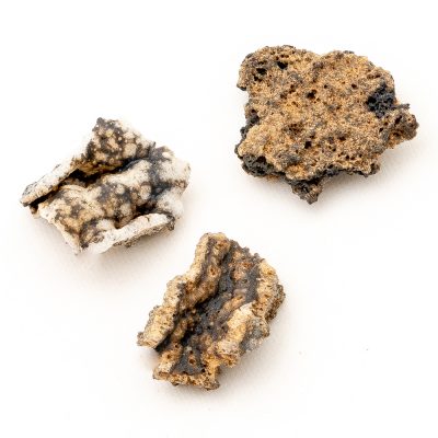 Fulgurite Specimen | Medium