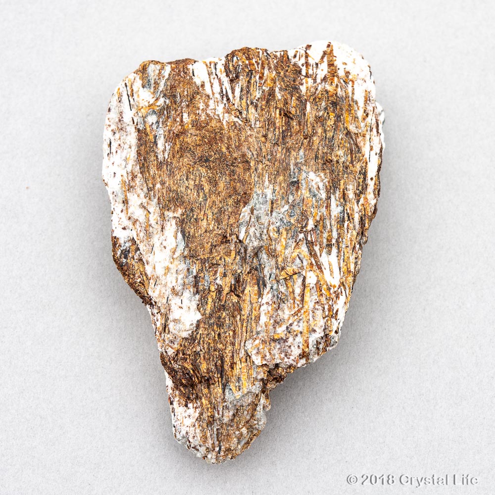 astrophyllite
