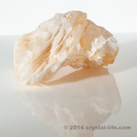 Angel Wing Calcite