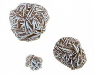 Desert Rose - 1 1/4"