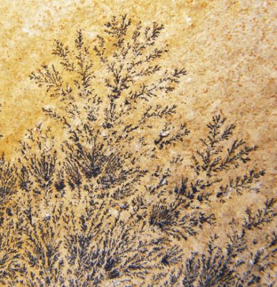 Dendritic Sandstone