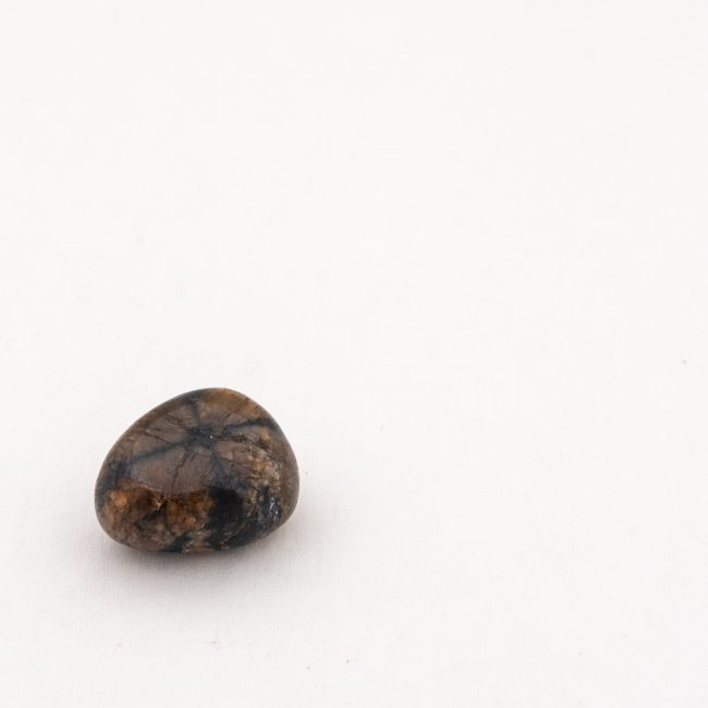 Chiastolite | Tumbled Large