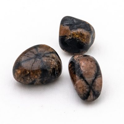 Chiastolite | Tumbled Large