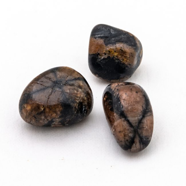 Chiastolite | Tumbled Large