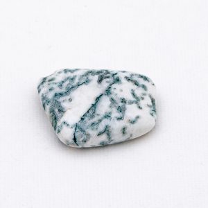 Tree Agate | Tumbled | Medium