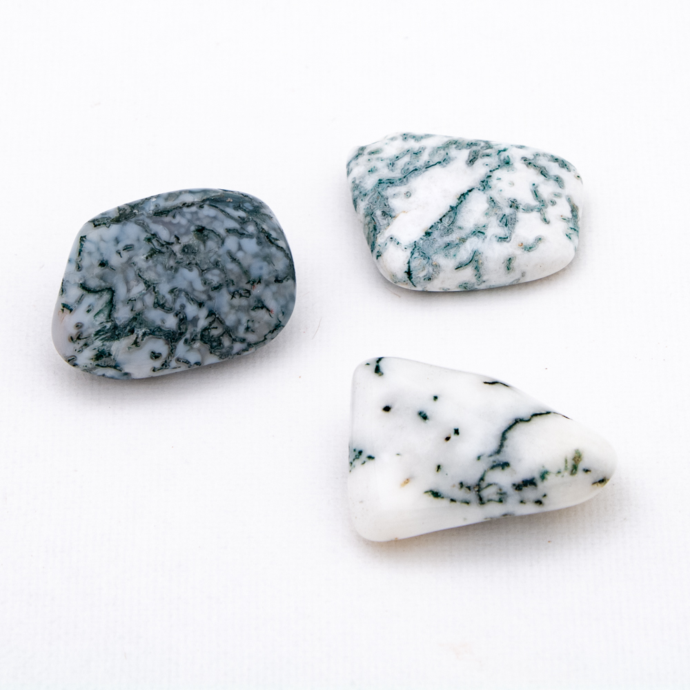 Tree Agate | Tumbled | Medium