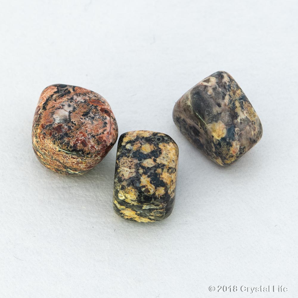 metaphysical properties of leopard skin jasper metaphysical properties of leopard skin jasper