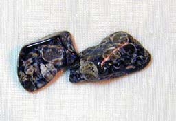 Turritella Agate