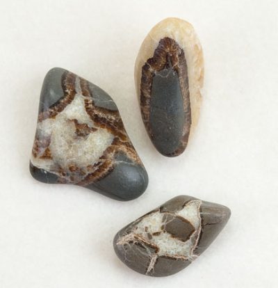 septarian