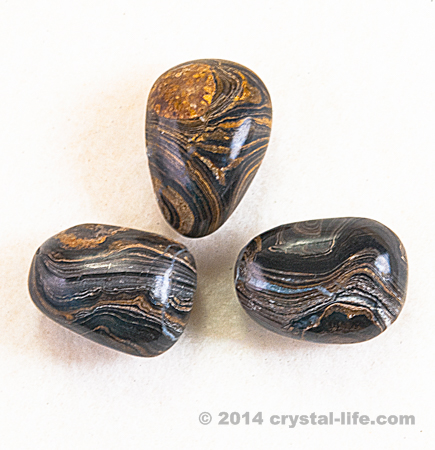 Stromatolite Tumbled Stone