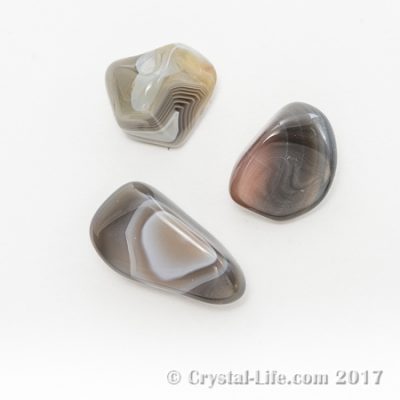 Botswana Agate | Tumbled
