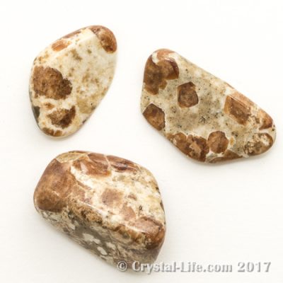 Garnet in LImestone