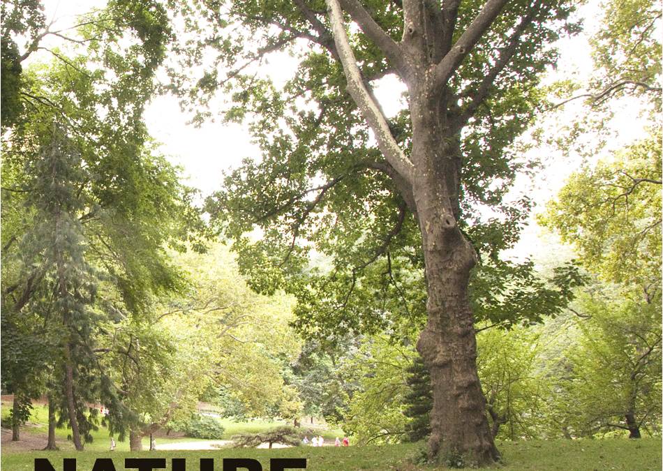 Nature Spirit Vortex – Central Park
