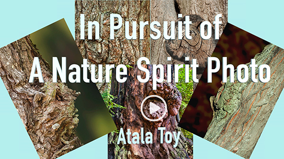 In Pursuit of a Nature Spirit Photo