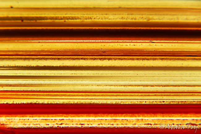 Agate Stripes | Atala Toy Nature Spirit Photographer