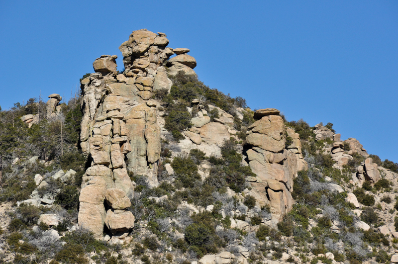 Mt. Lemmon Gathering - Atala Toy