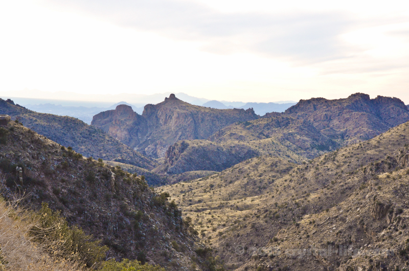 Mt. Lemmon Valley - Atala Toy