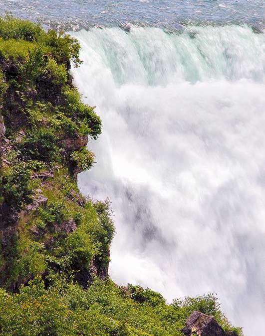 Birdman of Niagara Falls