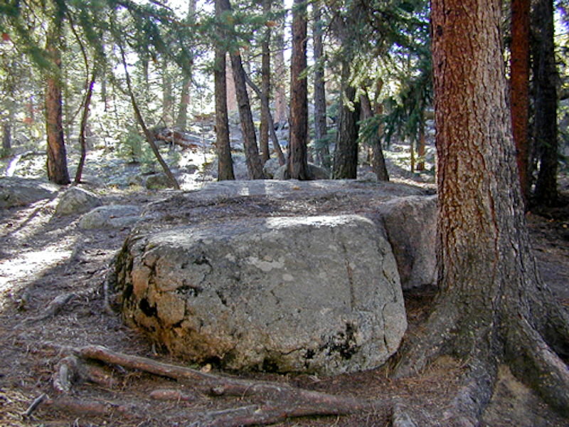 snake altar image
