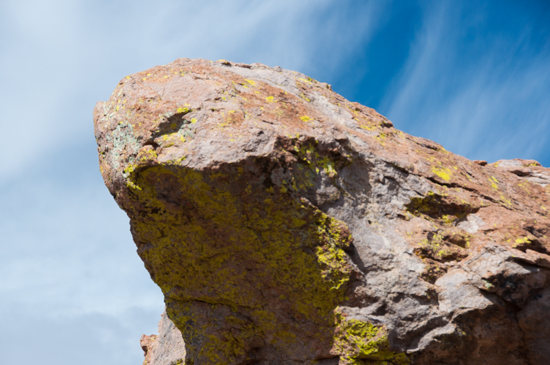 Eagle profile