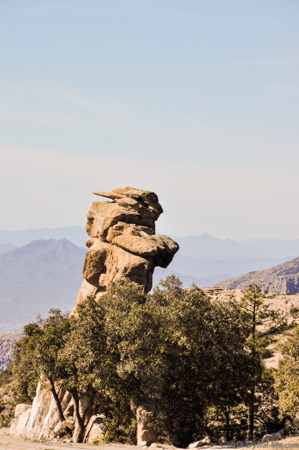 funny guy mt lemmon-1