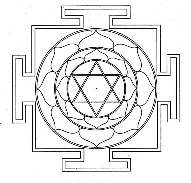 Circle & Square
