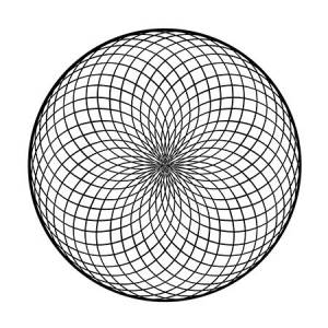 Torus