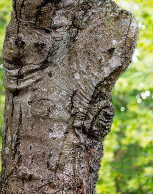 African Greenman