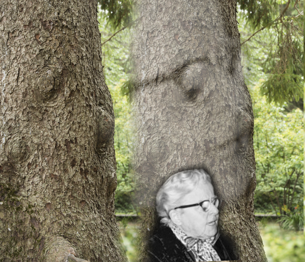 Gertrude and Tree Profiles