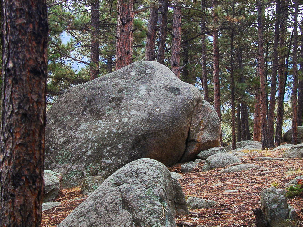 grandfather rock by atala toy